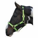 Hy Equestrian Deluxe Padded Head Collar - Bright Blue additional 3