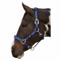 Hy Equestrian Deluxe Padded Head Collar - Bright Blue additional 4