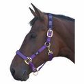 Hy Equestrian Deluxe Padded Head Collar - Bright Blue additional 5