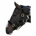 Hy Equestrian Deluxe Padded Head Collar - Bright Blue additional 6