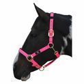 Hy Equestrian Deluxe Padded Head Collar - Bright Blue additional 8