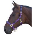 Hy Equestrian Deluxe Padded Head Collar - Purple additional 2