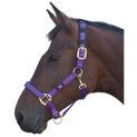 Hy Equestrian Deluxe Padded Head Collar - Purple additional 1