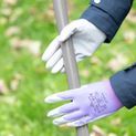 Hy Equestrian Multipurpose Stable Glove - Purple additional 1
