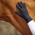 Hy Equestrian Snowstorm Riding and General Glove - Black additional 4