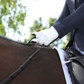 Hy Equestrian Sparkle Touch Riding Gloves - White additional 6