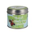 Hy Equestrian Thelwell Collection Candle - Minty Treat Munchies additional 1