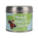 Hy Equestrian Thelwell Collection Candle - Minty Treat Munchies additional 4