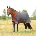 HyCONIC 0g Turnout Rug - Charcoal/Red additional 3