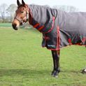 HyCONIC 200g Combi Turnout Rug - Charcoal/Red additional 1