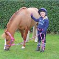 I Love My Pony Collection Long Sleeve T-Shirt by Little Rider - Navy additional 6