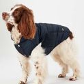 Joules Cherington Dog Coat additional 6
