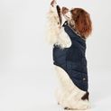 Joules Cherington Dog Coat additional 8
