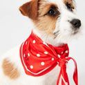 Joules Harbour Top &amp; Neckerchief Set additional 7