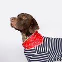 Joules Harbour Top &amp; Neckerchief Set additional 6
