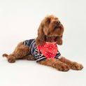 Joules Harbour Top &amp; Neckerchief Set additional 5