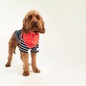 Joules Harbour Top &amp; Neckerchief Set additional 4