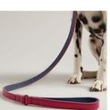 Joules Leather Dog Lead - Pink additional 2