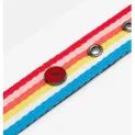 Joules Rainbow Stripe Dog Collar additional 4