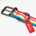 Joules Rainbow Stripe Dog Collar additional 5