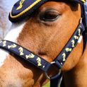 Lancelot Fly Veil by Little Knight - Navy/Yellow additional 2