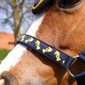 Lancelot Fly Veil by Little Knight - Navy/Yellow additional 3