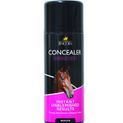 Lincoln Concealer Spray Aerosol - Brown additional 1