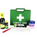 Lincoln First Aid Kit additional 3
