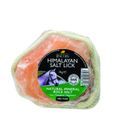 Lincoln Himalayan Salt Lick additional 6