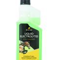 Lincoln Liquid Electrolytes additional 1