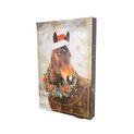Lincoln Mince Pie Treats Christmas Advent Calendar For Horse/Pony additional 1