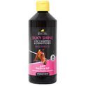 Lincoln Silky Shine 2 in 1 Shampoo and Conditioner additional 1