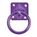 Perry Equestrian Swivel Tie Ring on Plate additional 3