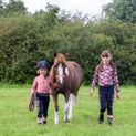 Pony Passion Socks by Little Rider (Pack of 3) - Navy/Blush additional 6