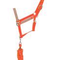 Reflector Head Collar &amp; Lead Rope by Hy Equestrian - Orange additional 1