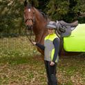 Reflector Quarter Mesh Exercise Sheet by Hy Equestrian - Yellow additional 6