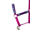 Riding Star Collection Head Collar &amp; Lead Rope Set by Little Rider - Navy/Burgundy additional 2