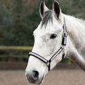 Silva Flash Head Collar by Hy Equestrian - Black/Reflective Silver additional 2