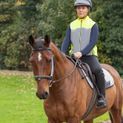 Silva Flash Lightweight Duo Reflective Gilet by Hy Equestrian - Yellow/Reflective Silver additional 12