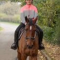 Silva Flash Reflective Leg Band by Hy Equestrian - Reflective Silver additional 12