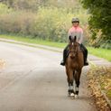 Silva Flash Reflective Leg Band by Hy Equestrian - Reflective Silver additional 11