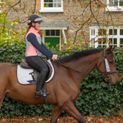 Silva Flash Reflective Leg Band by Hy Equestrian - Reflective Silver additional 4