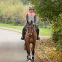 Silva Flash Reflective Leg Band by Hy Equestrian - Reflective Silver additional 3