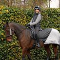 Silva Flash Waterproof Exercise Sheet by Hy Equestrian - Black/Reflective Silver additional 1