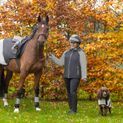 Silva Flash Waterproof Exercise Sheet by Hy Equestrian - Black/Reflective Silver additional 3