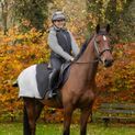 Silva Flash Waterproof Exercise Sheet by Hy Equestrian - Black/Reflective Silver additional 4