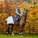 Silva Flash Waterproof Exercise Sheet by Hy Equestrian - Black/Reflective Silver additional 5