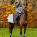 Silva Flash Waterproof Exercise Sheet by Hy Equestrian - Black/Reflective Silver additional 7