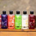 Supreme Products A-List Apple First Class Shampoo additional 2
