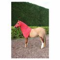 Supreme Products Dotty Fleece Hood - Rosette Red additional 1